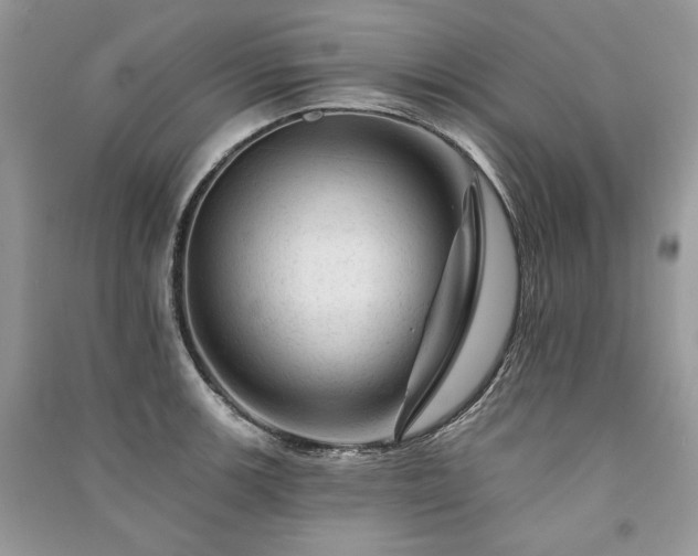 X0000091091139200708131314