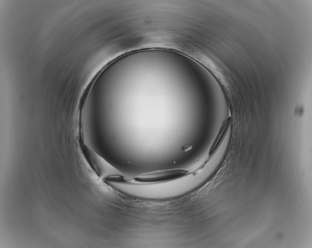 X0000091091140200708131314