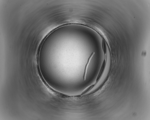 X0000091091141200708131314
