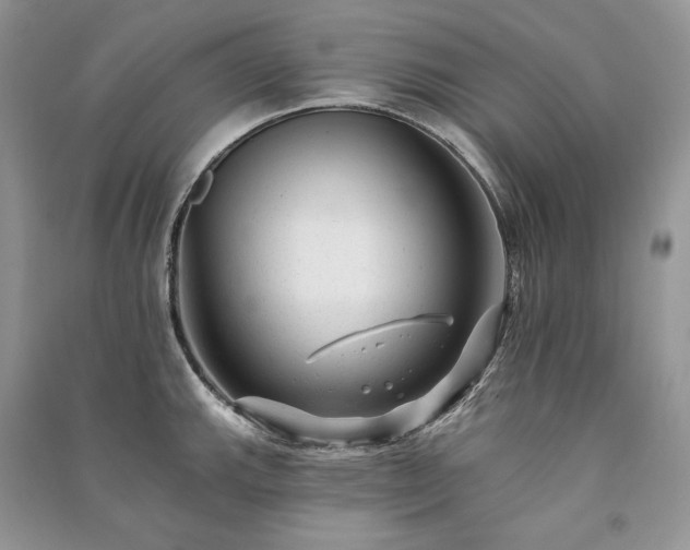 X0000091091143200708131314