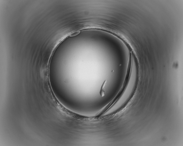 X0000091091145200708131314
