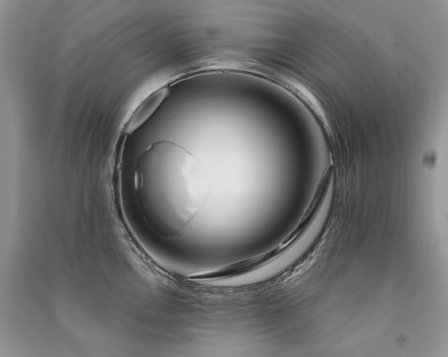 X0000091091146200708131314
