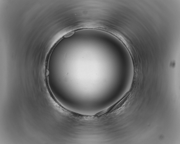 X0000091091147200708131314