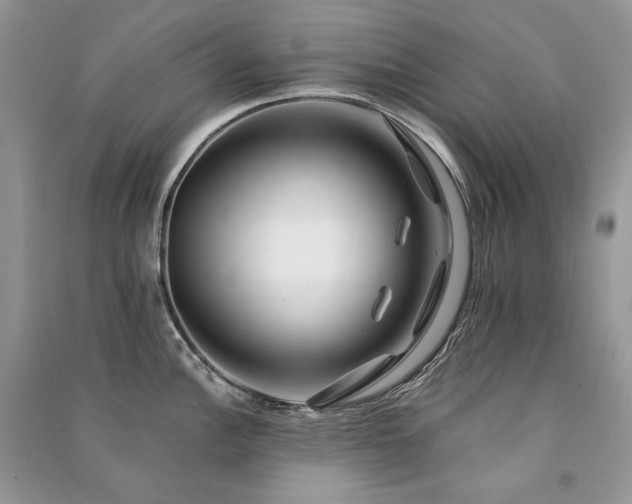 X0000091091148200708131314