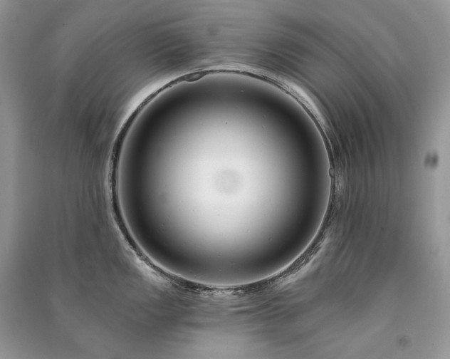 X0000091091149200708131314