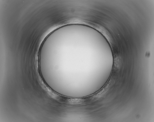 X0000091091150200708131314