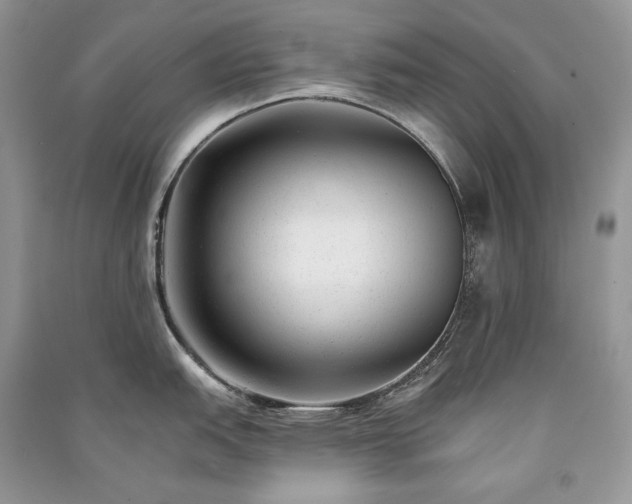 X0000091091151200708131314