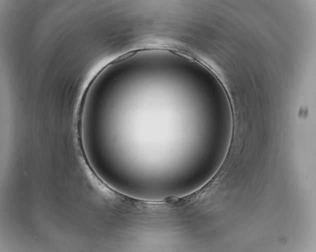 X0000091091152200708131314