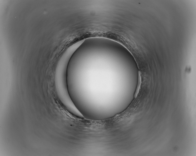 X0000091091153200708131313