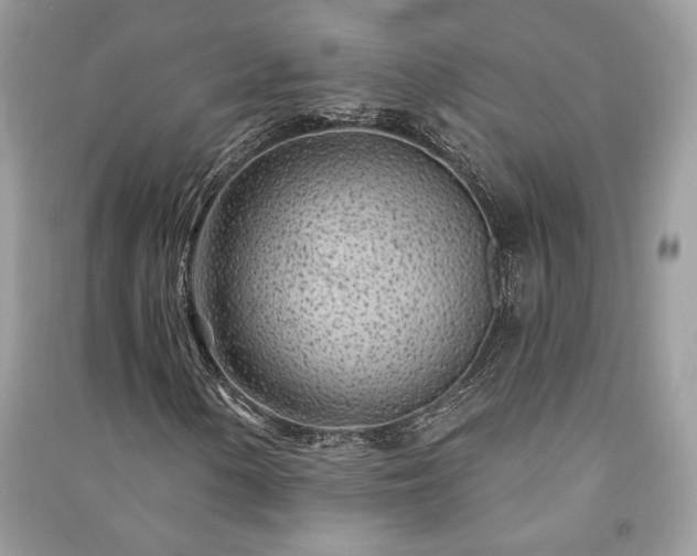 X0000091091154200708131313