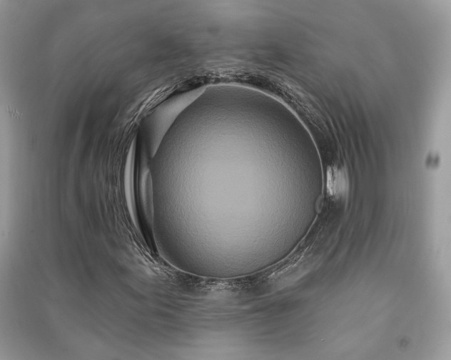 X0000091091155200708131313
