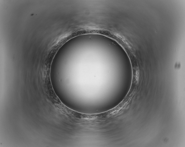 X0000091091157200708131313