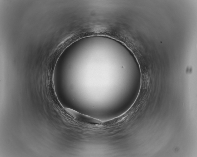 X0000091091158200708131313