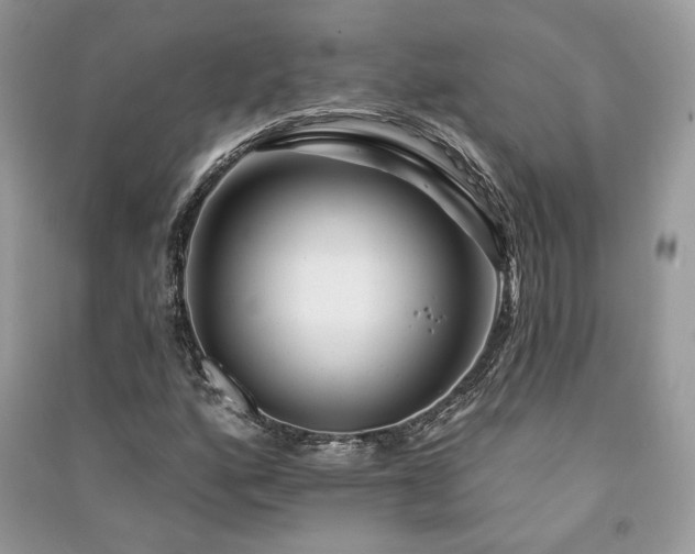 X0000091091160200708131313