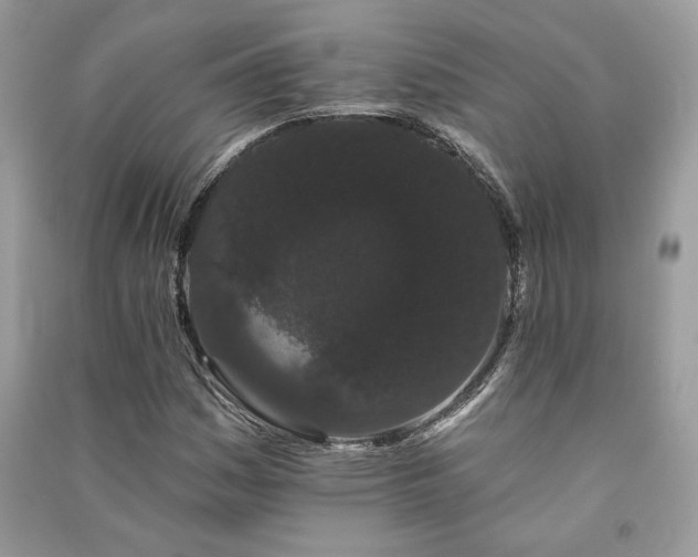 X0000091091161200708131313