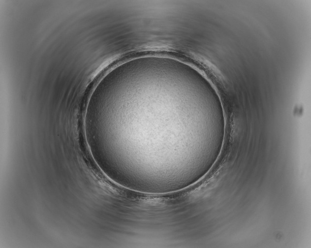X0000091091162200708131313