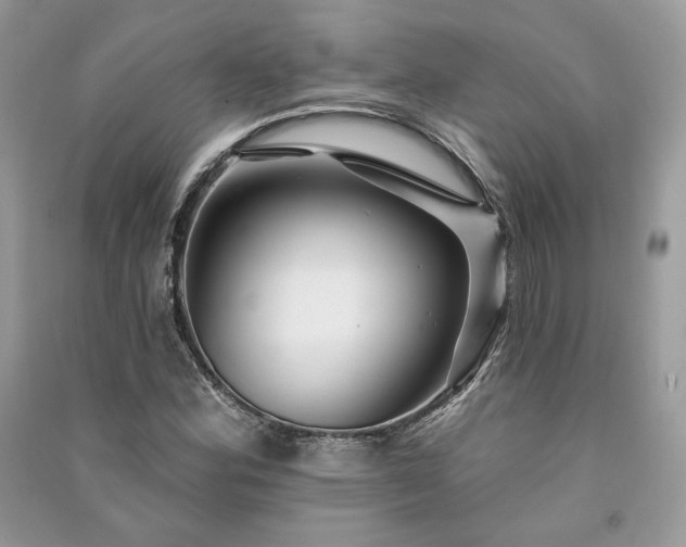X0000091091164200708131313