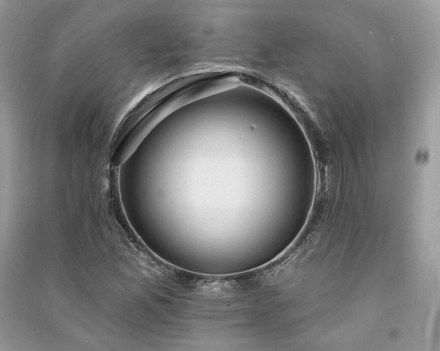 X0000091091165200708131313