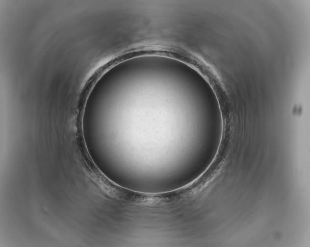 X0000091091166200708131313