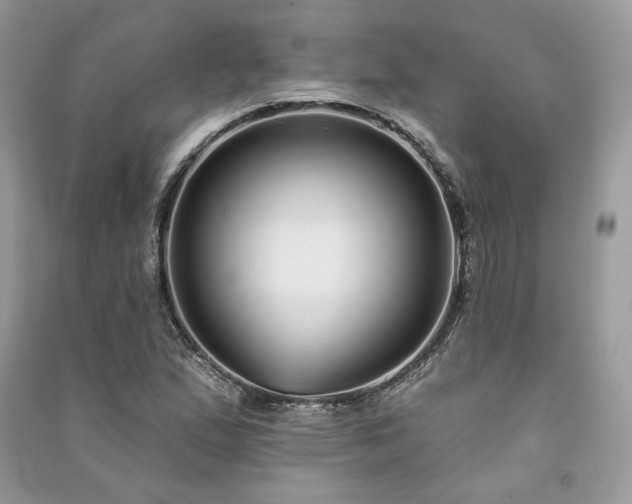 X0000091091167200708131313