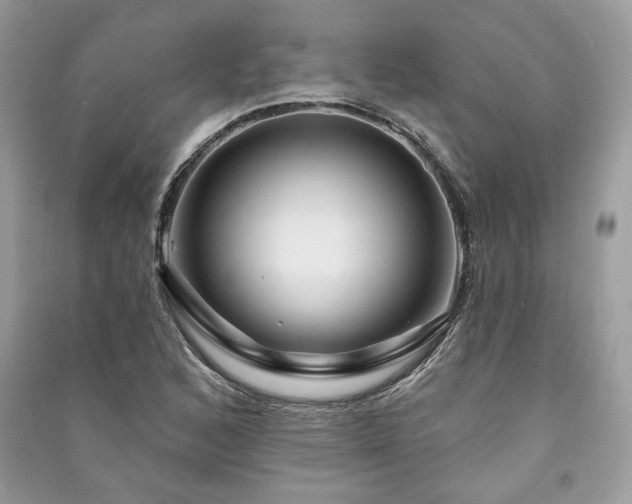 X0000091091168200708131313