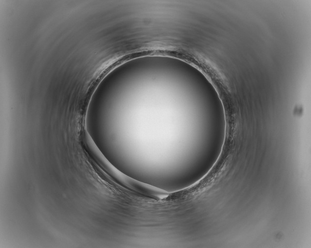 X0000091091169200708131313