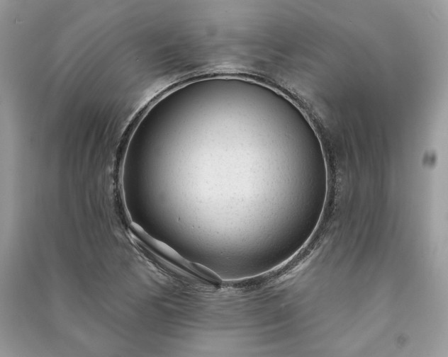X0000091091170200708131313