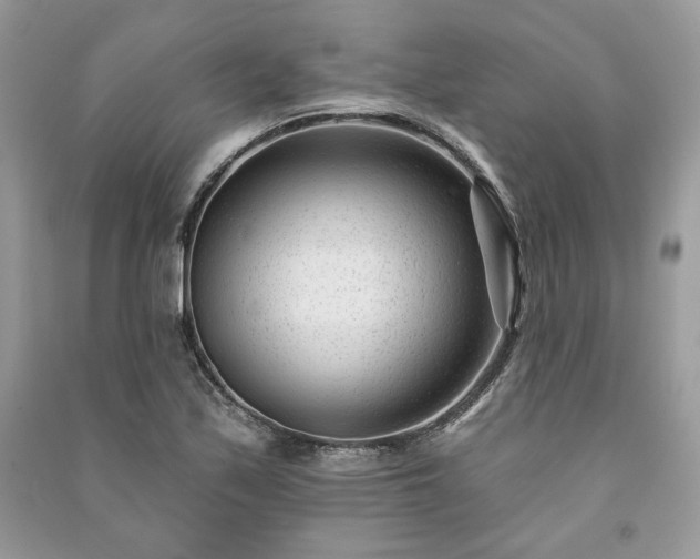 X0000091091171200708131313