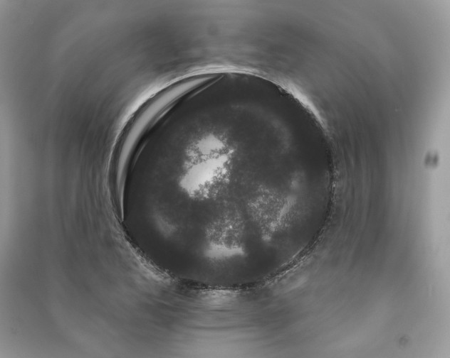 X0000091091173200708131313