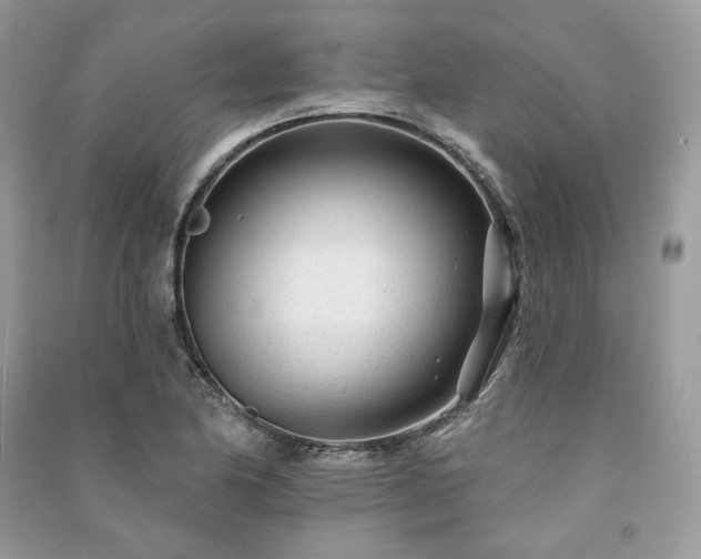 X0000091091174200708131313