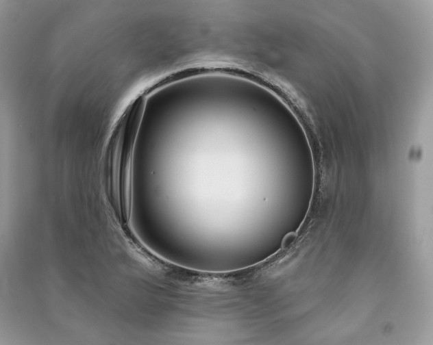 X0000091091175200708131313