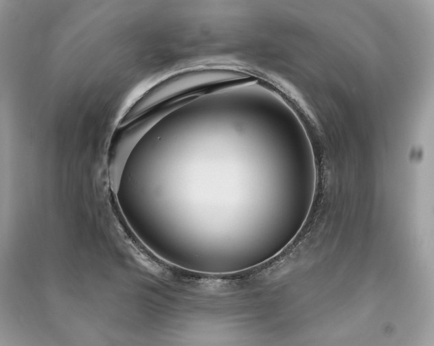 X0000091091176200708131313