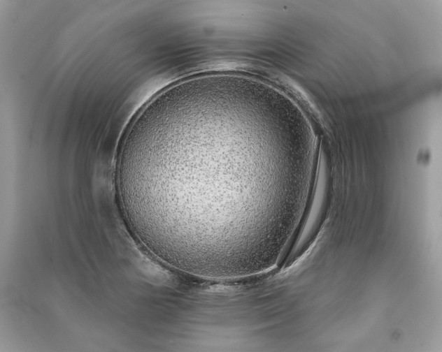 X0000091091178200708131313