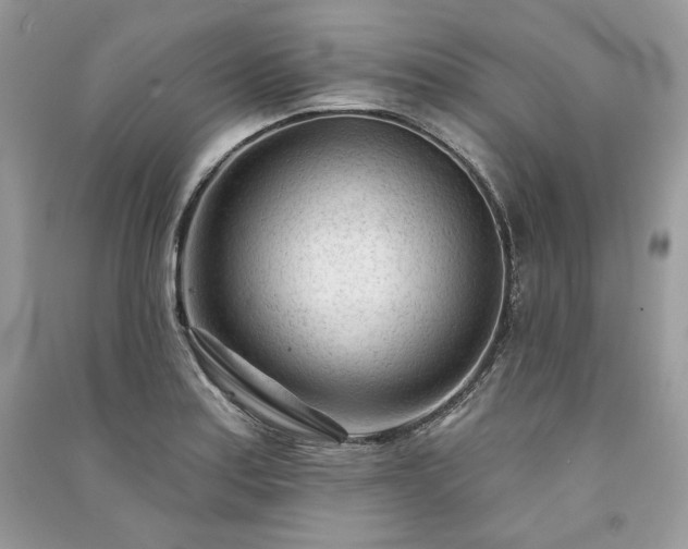 X0000091091179200708131313