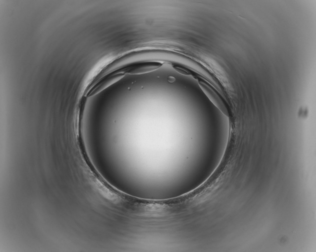 X0000091091180200708131313