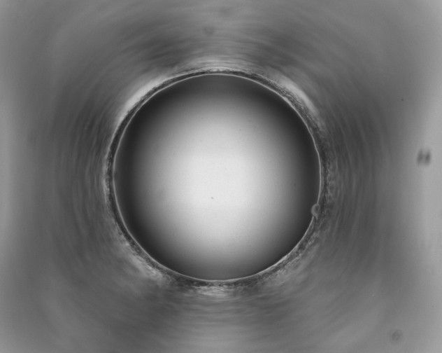 X0000091091182200708131313