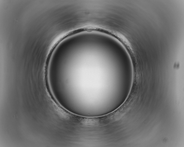 X0000091091183200708131313