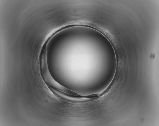 X0000091091184200708131313