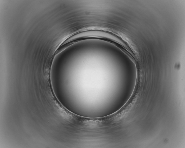 X0000091091185200708131313