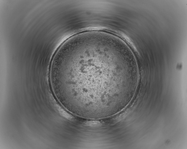 X0000091091186200708131313