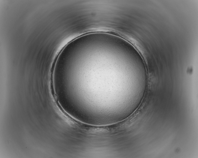 X0000091091187200708131313