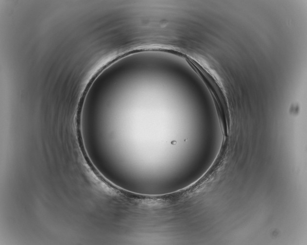 X0000091091189200708131313
