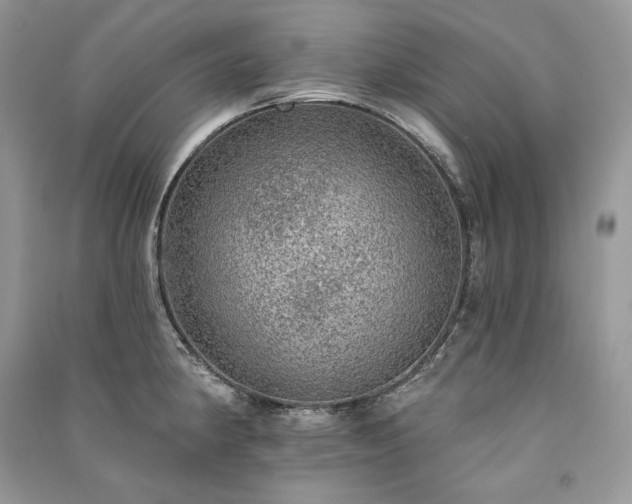 X0000091091190200708131313