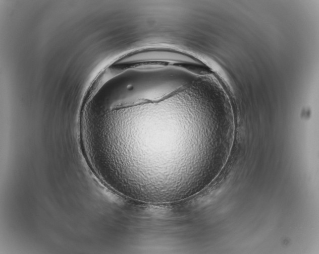 X0000091091191200708131313