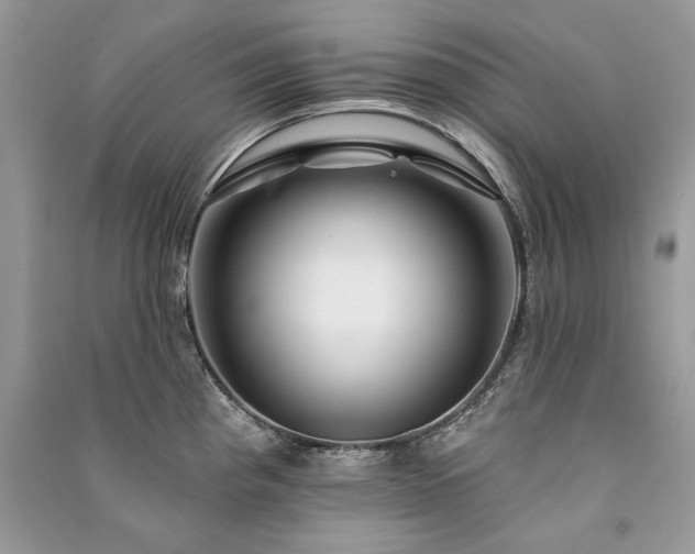 X0000091091193200708131313