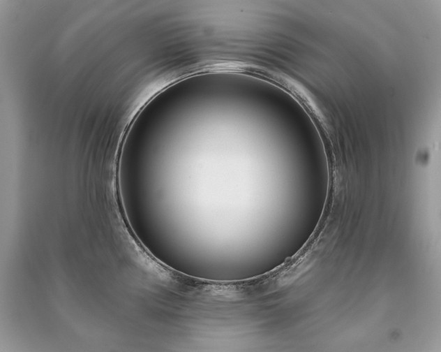 X0000091091194200708131313