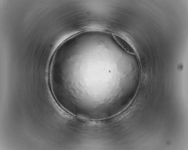 X0000091091195200708131313