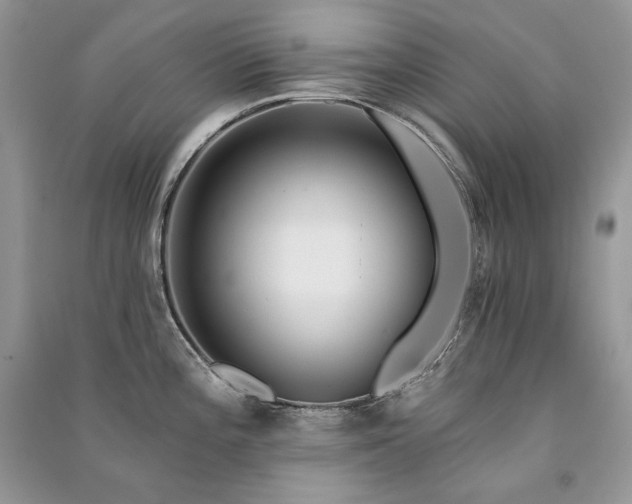 X0000091091196200708131313