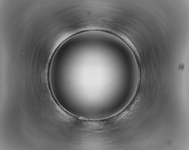 X0000091091197200708131313
