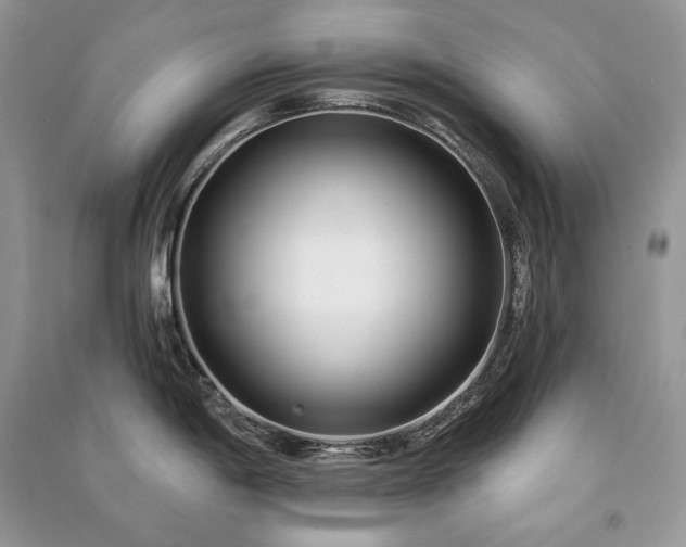X0000091091198200708131313